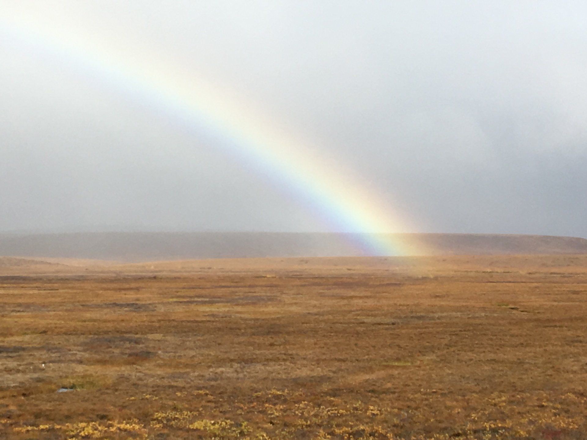 A rainbow is visible over a dry grass field