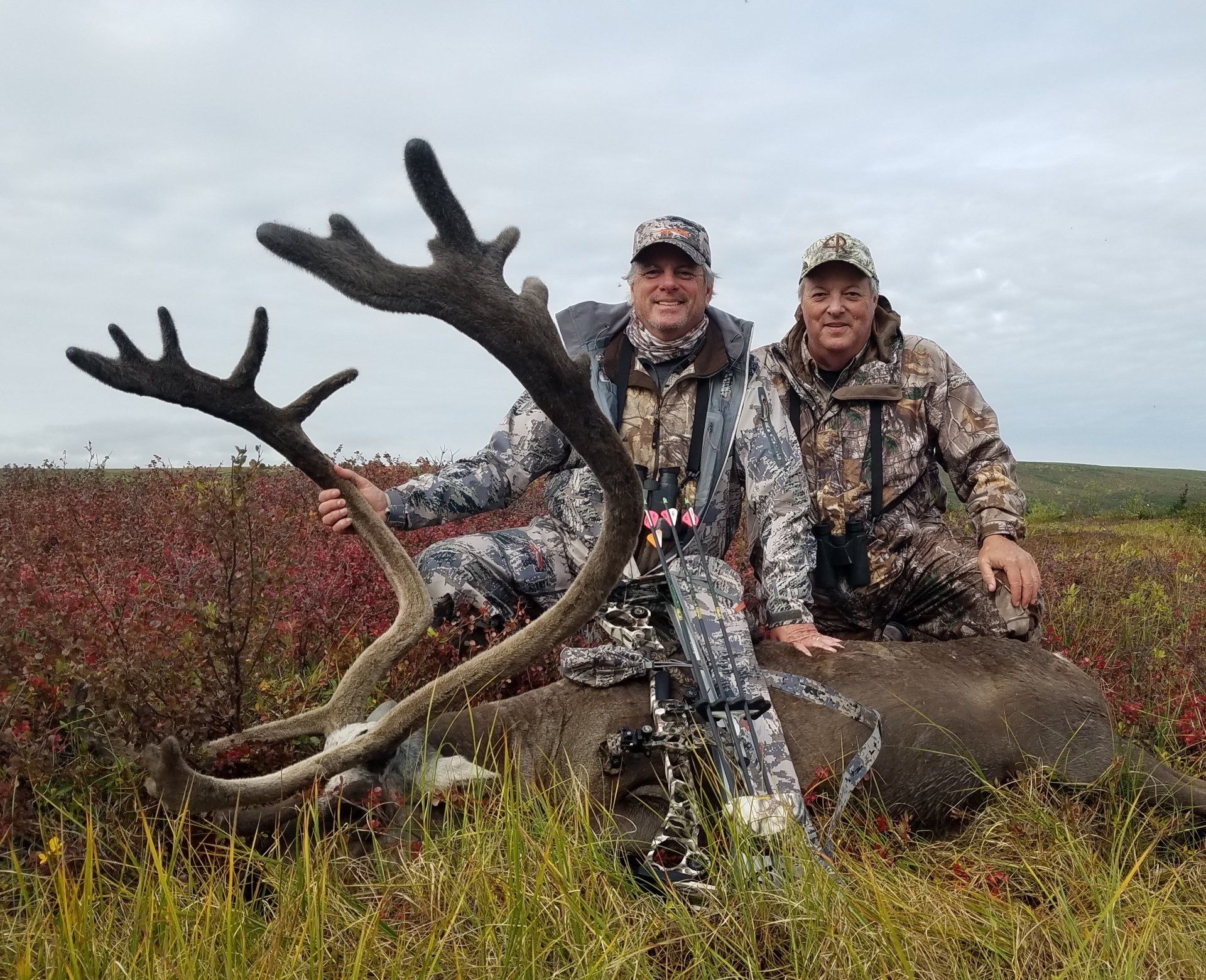 caribou harvested with a bow and two smiling hunters