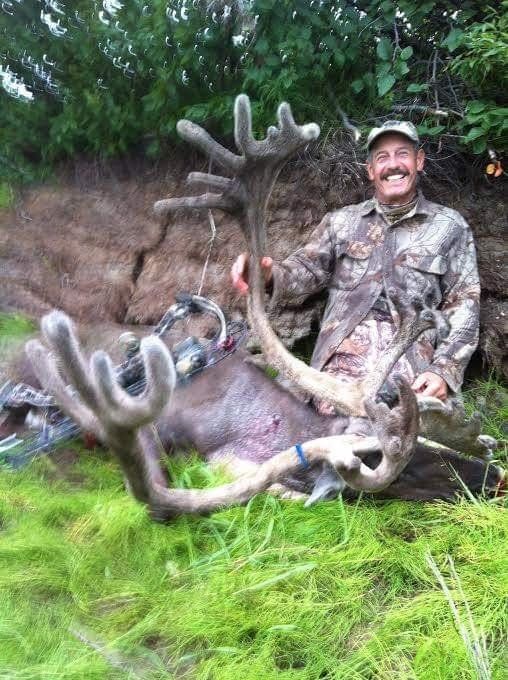 north american slam caribou off the list taken with a bow