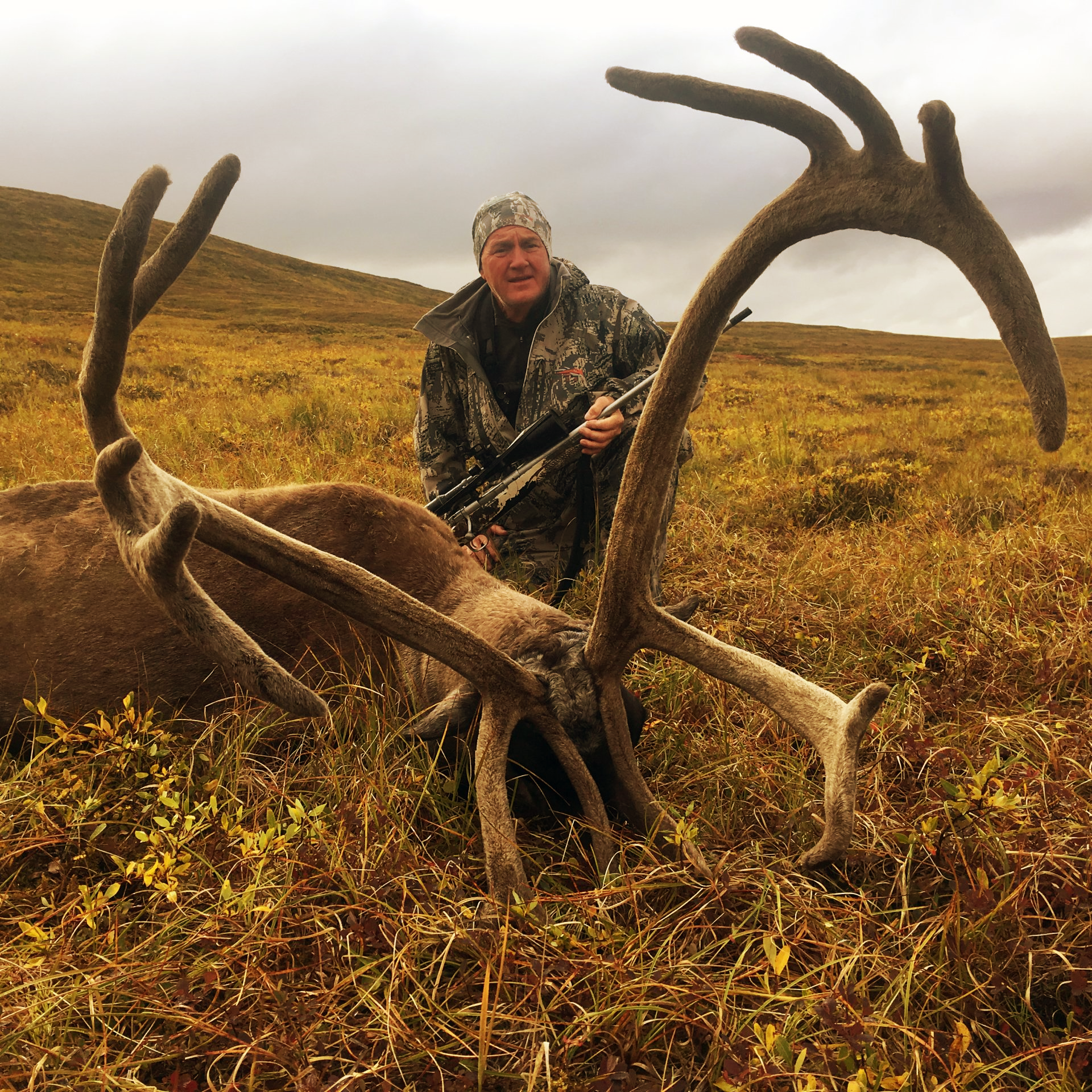 caribou harvested in the velvet on guided hunting trip in alaska