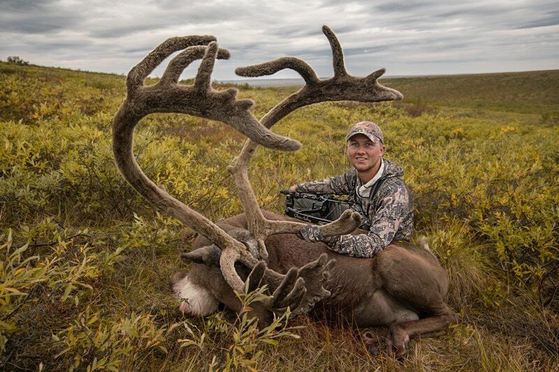 caribou harvested with a bow on a guided hunt