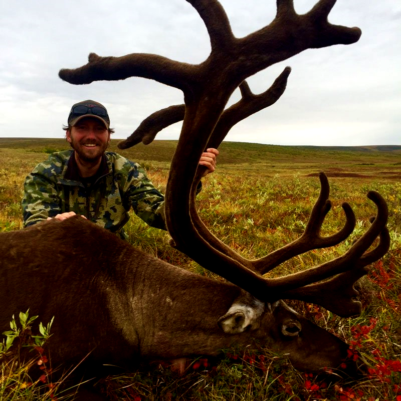 Alaska Caribou Hunting guide with a nice bull caribou