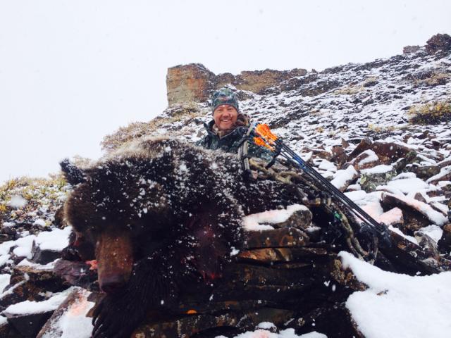 arctic grizzly with a bow and arrow