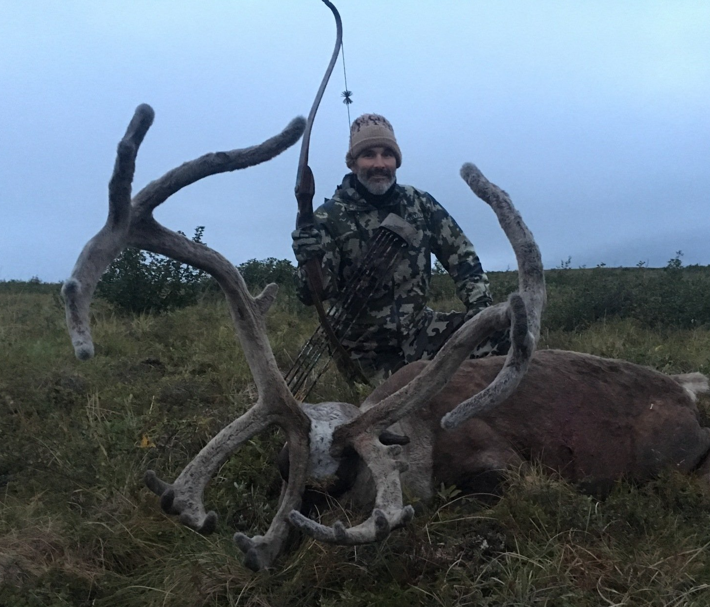 barren ground caribou harvested with a traditional bow at twelve yards