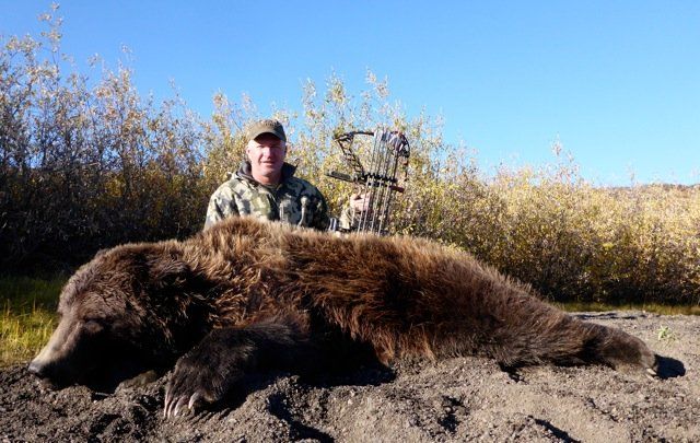 arctic grizzly and hunter on guided hunt