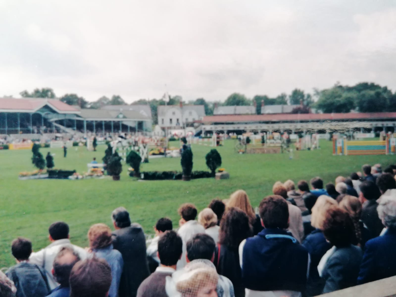 gara di cavalli con pubblico