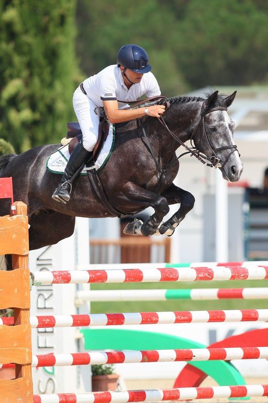 Cavallo da corsa che salta un ostacolo