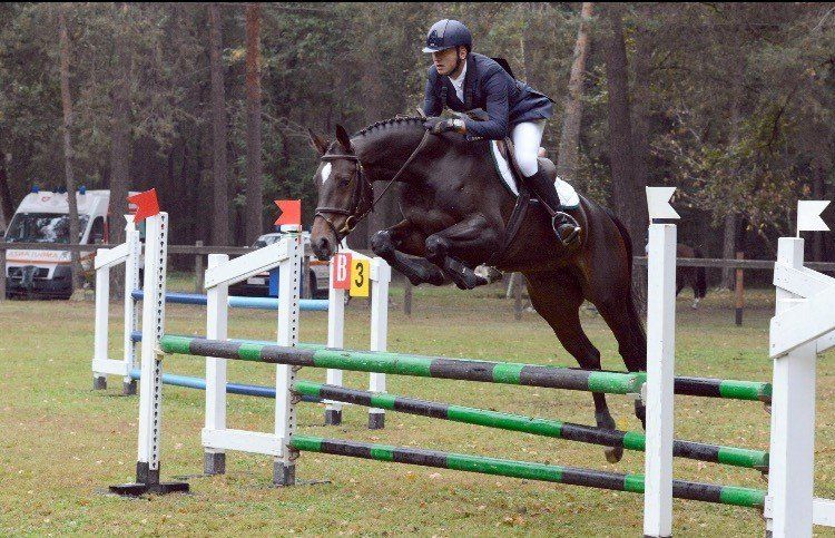 Cavallo da competizione