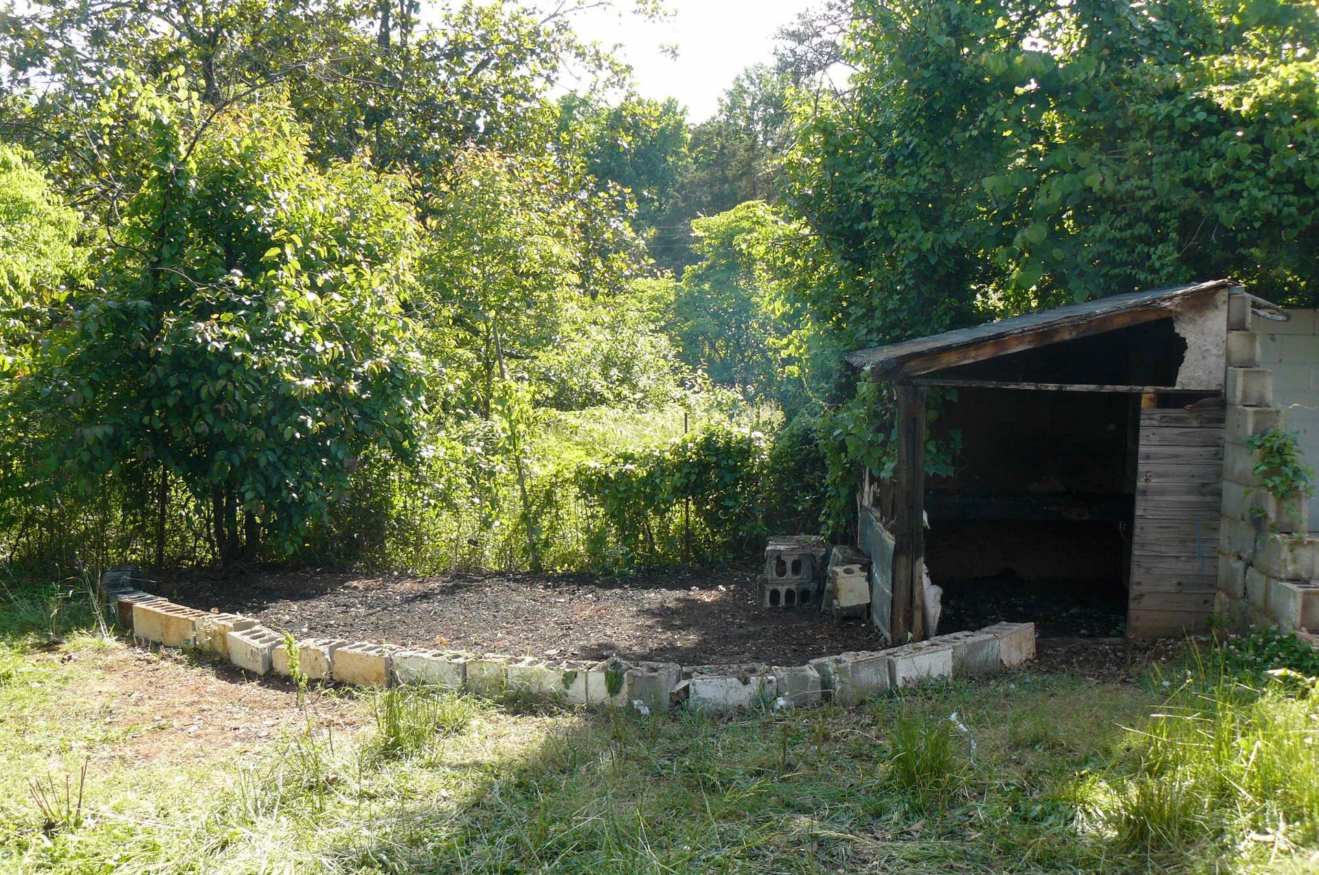 A small, partially-collapsed shed in a grassy area with a border of bricks, surrounded by trees.