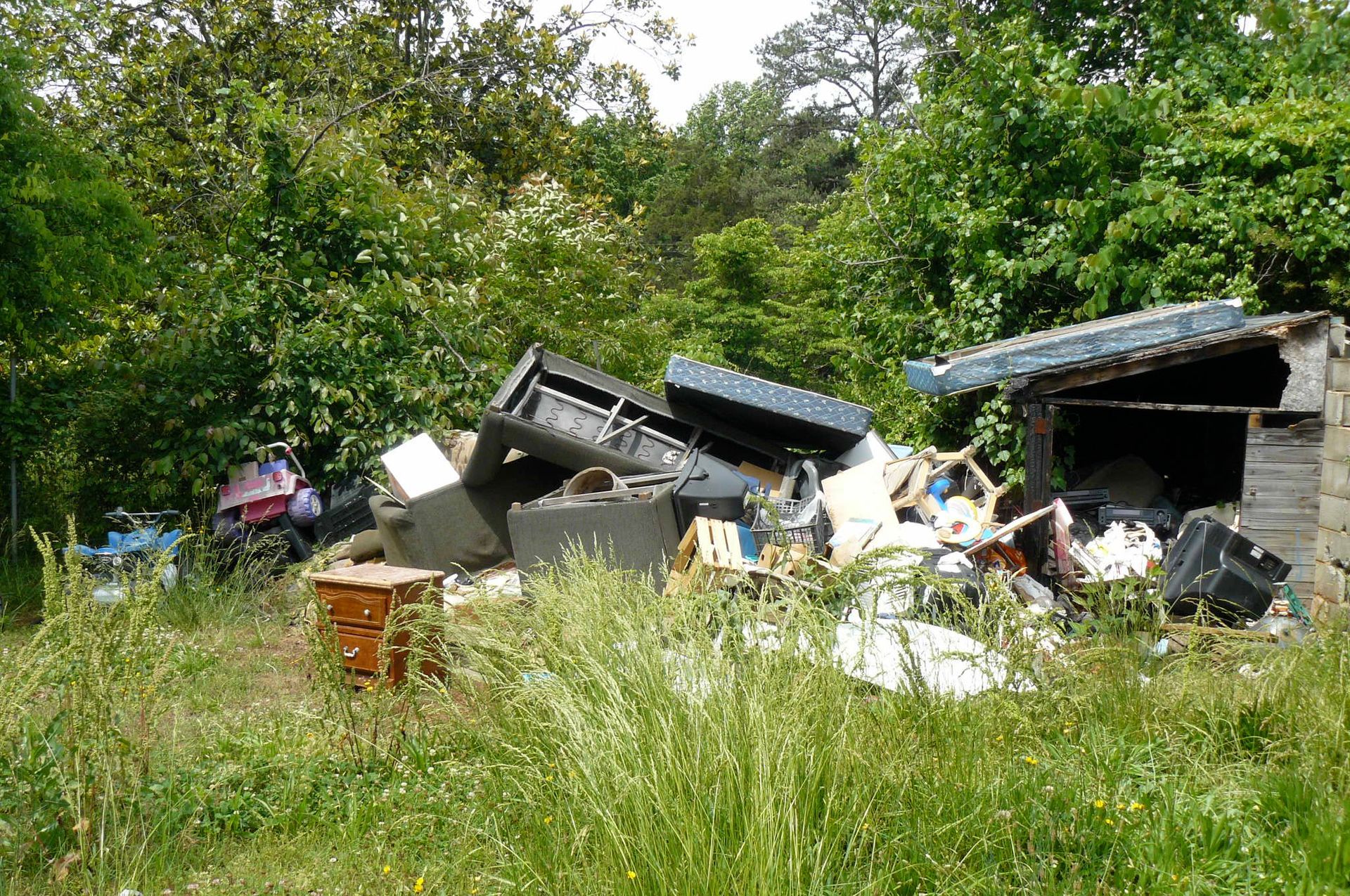 Pile of trash and debris in overgrown grass near trees and a small structure.