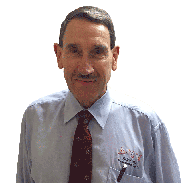 Rohan Nicholls B.V.Sc (Hons) R.D.A