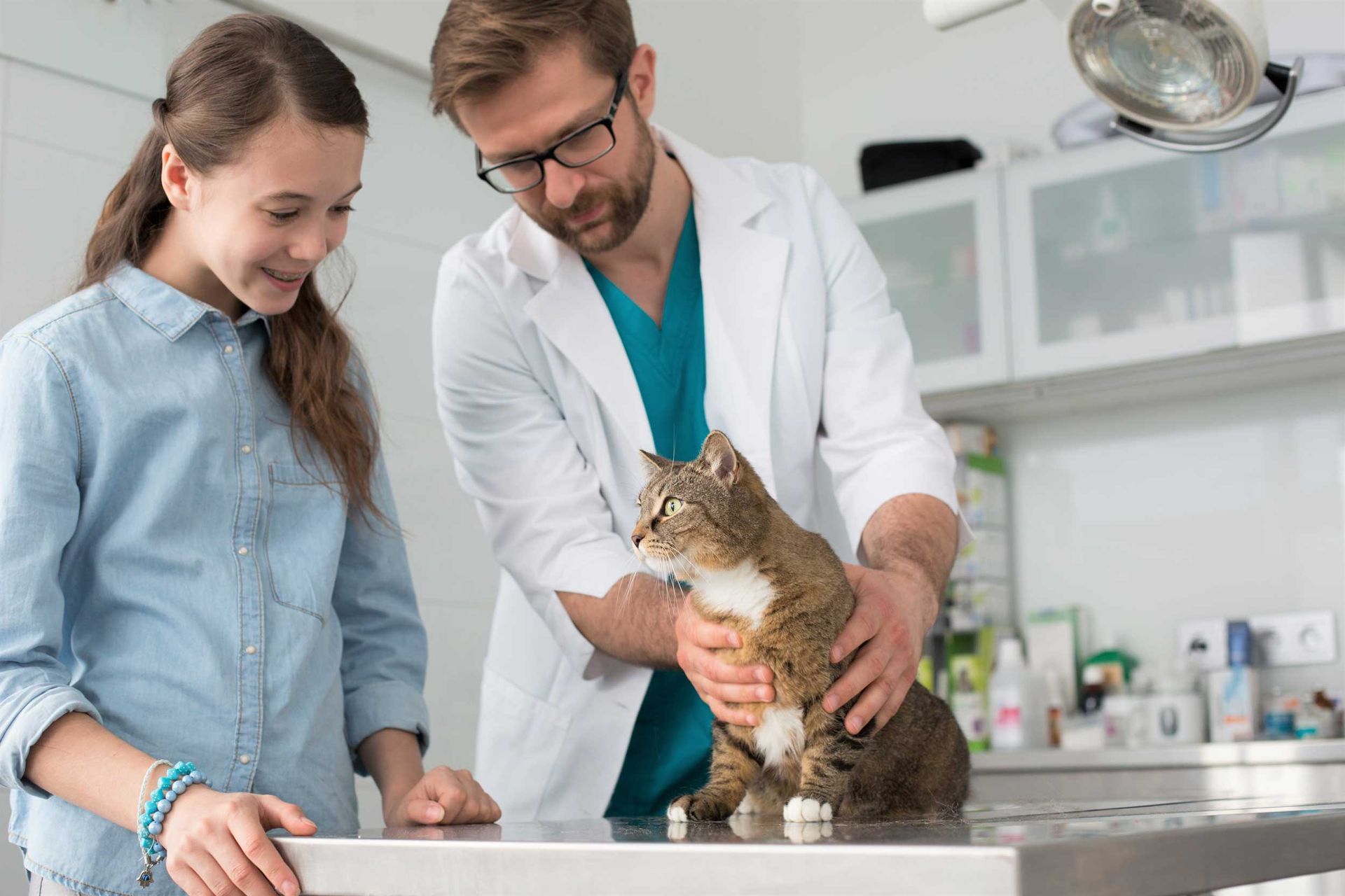 A veterinarian and a girl are looking at a cat on a table in a veterinary clinic.