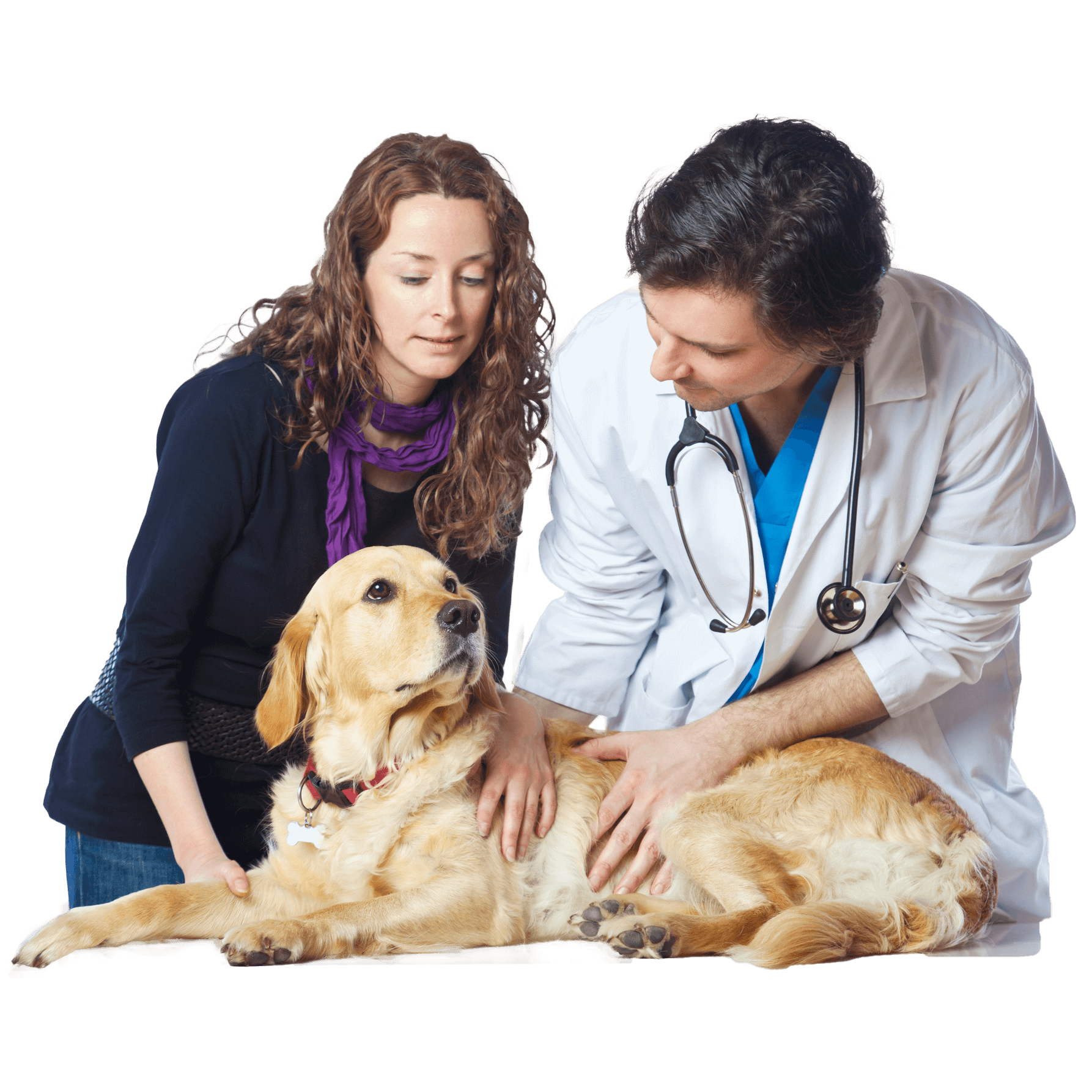 A woman and a doctor are petting a dog.