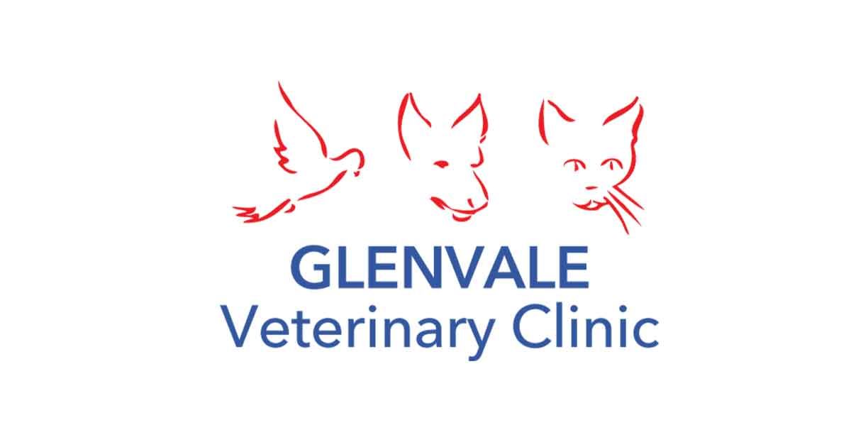 Glenvale Veterinary Clinic storefront