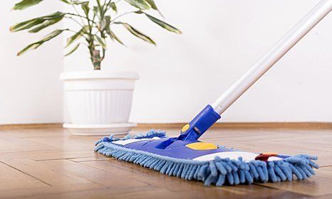 Daisy Dustbusters -  End of tenancy cleaning in Stevenage - floor cleaning