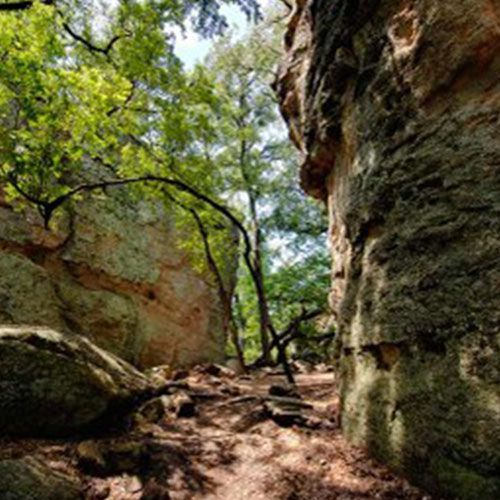 A narrow path between two rock walls in a forest.