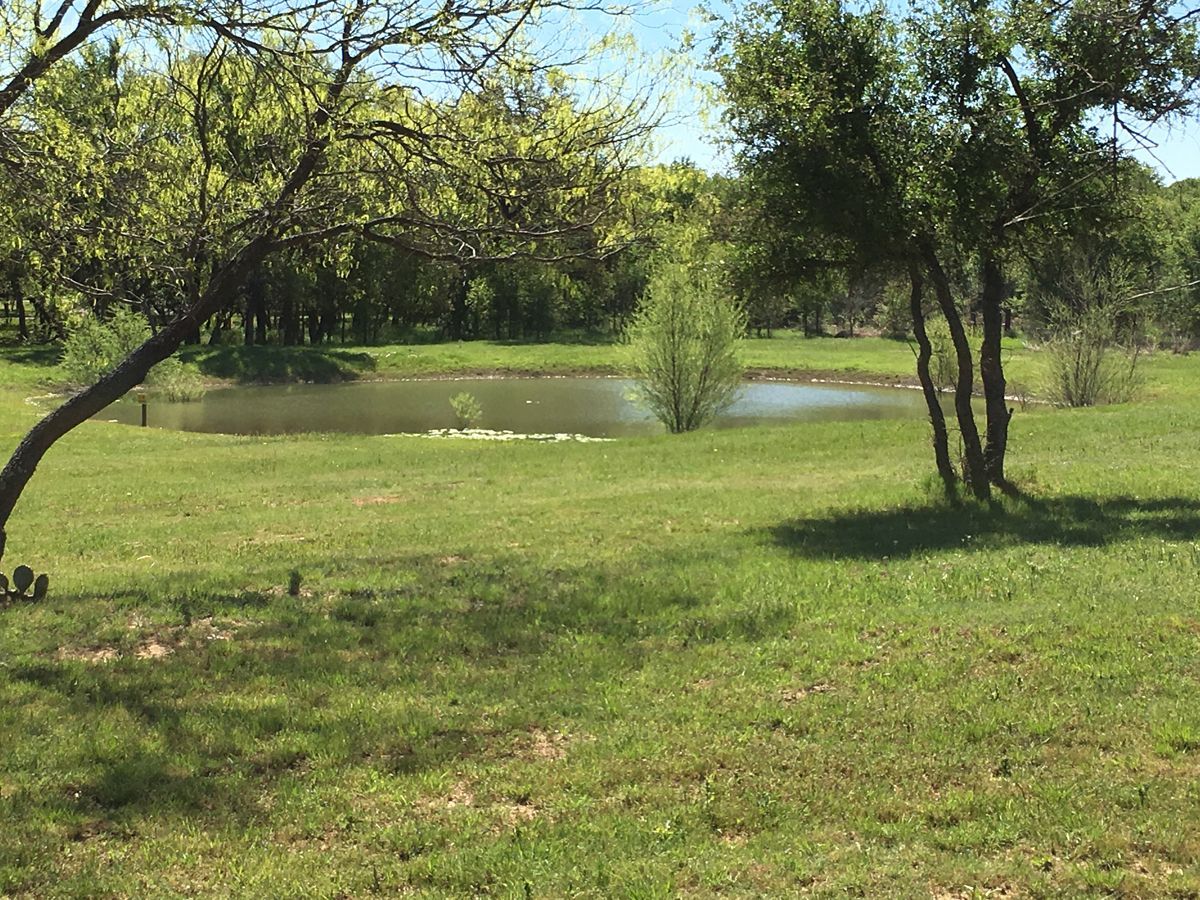 There is a pond in the middle of a grassy field surrounded by trees.