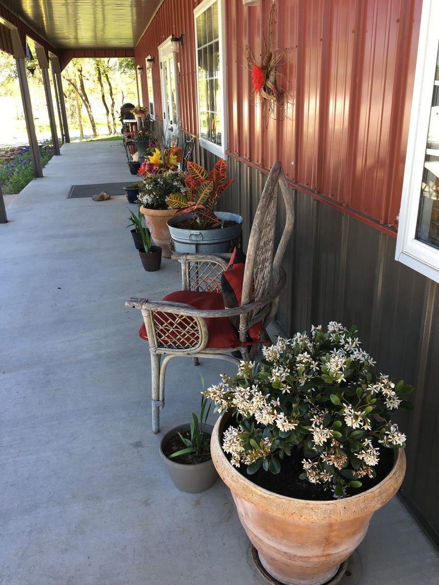 There are many potted plants on the porch of a house.