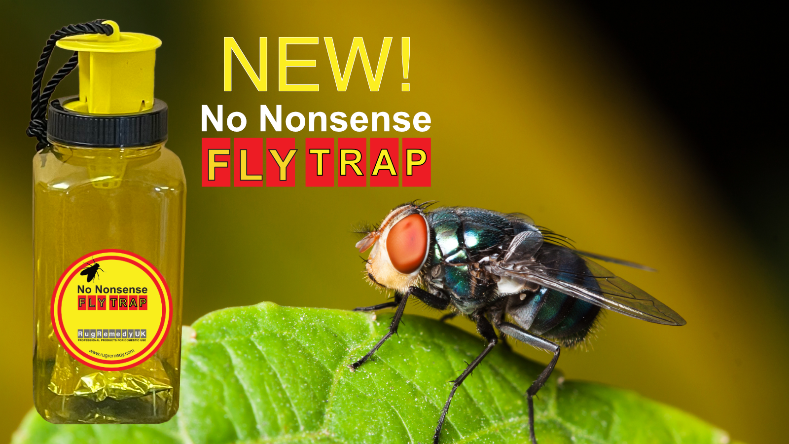 A fly on a green leaf with a No Nonsense Fly Trap bottle and logo.