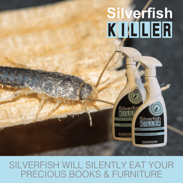 Picture of a silverfish on a piece of paper with two bottles of Silverfish Killer in the foreground.