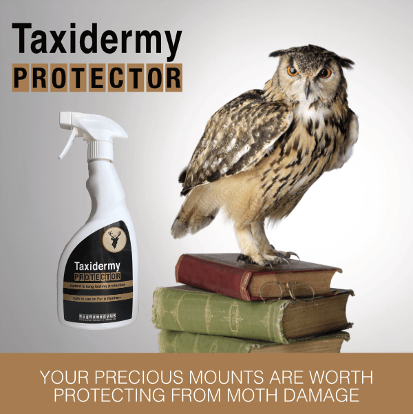Taxidermy protector - image of taxidermy mounted animal