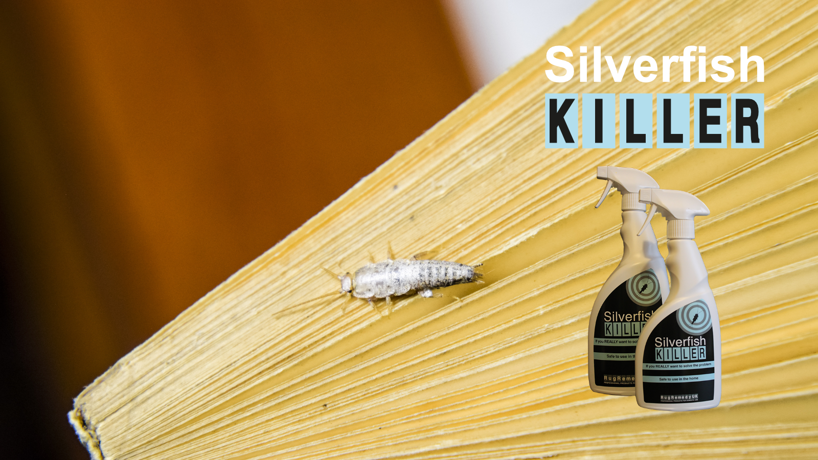 Silverfish live on starch, stop them eating through your precious books & documents.