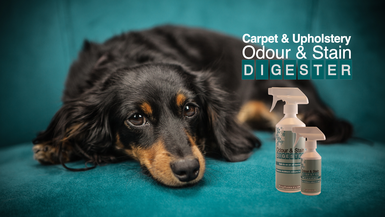 Cute poodle puppy sitting on a sofa with Odour and Stain Digester bottles.