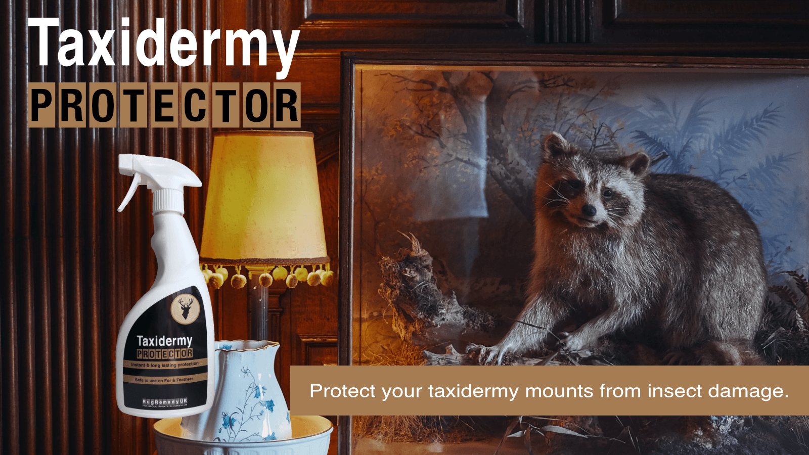 Image of a taxidermy mount of a raccoon in a glass box, with a bottle of Taxidermy Protector in the foreground. 