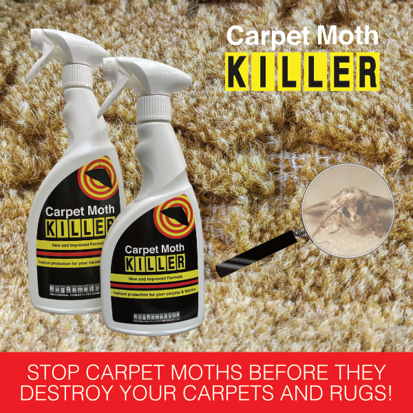Carpet Moth Killer - image of a modern sitting room with a rug and two sofas