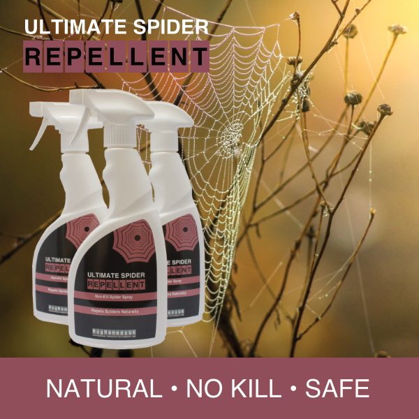 A picture of three bottles of Ultimate Spider Repellent with a background picture of a spider web on some foliage.