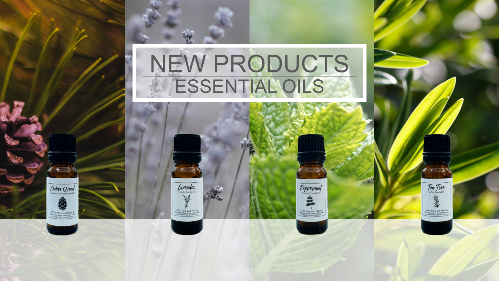 Fill your room with beautiful scents with our new Essential Oils