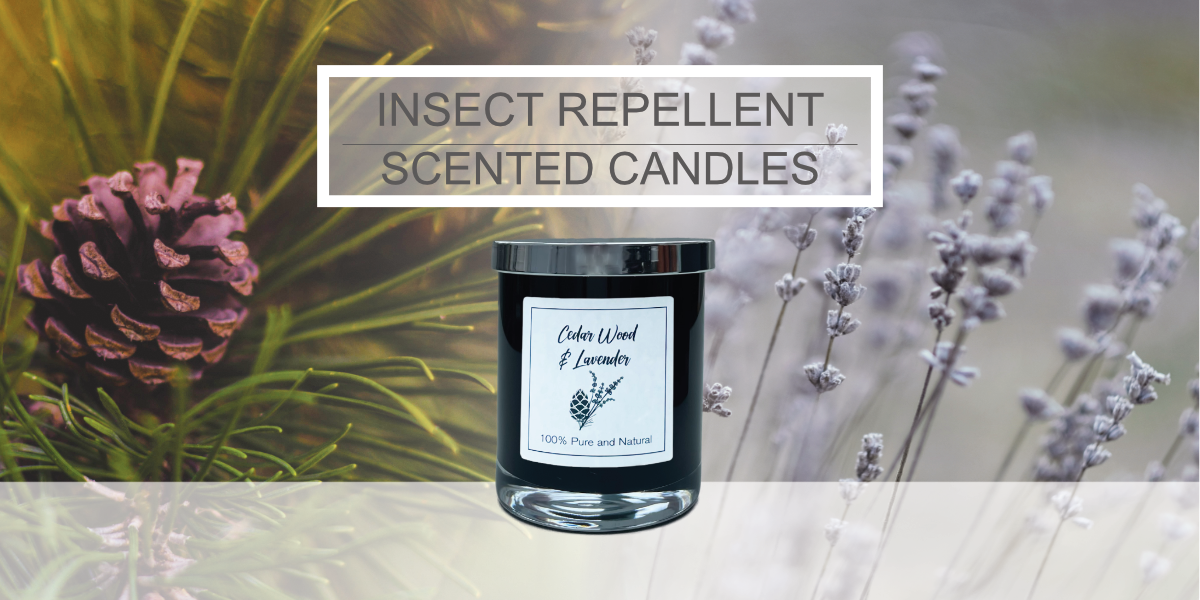 Scented Candles - Decorative and fragrant - the perfect gift.