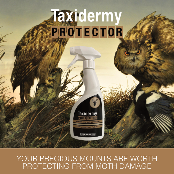 Taxidermy Protector