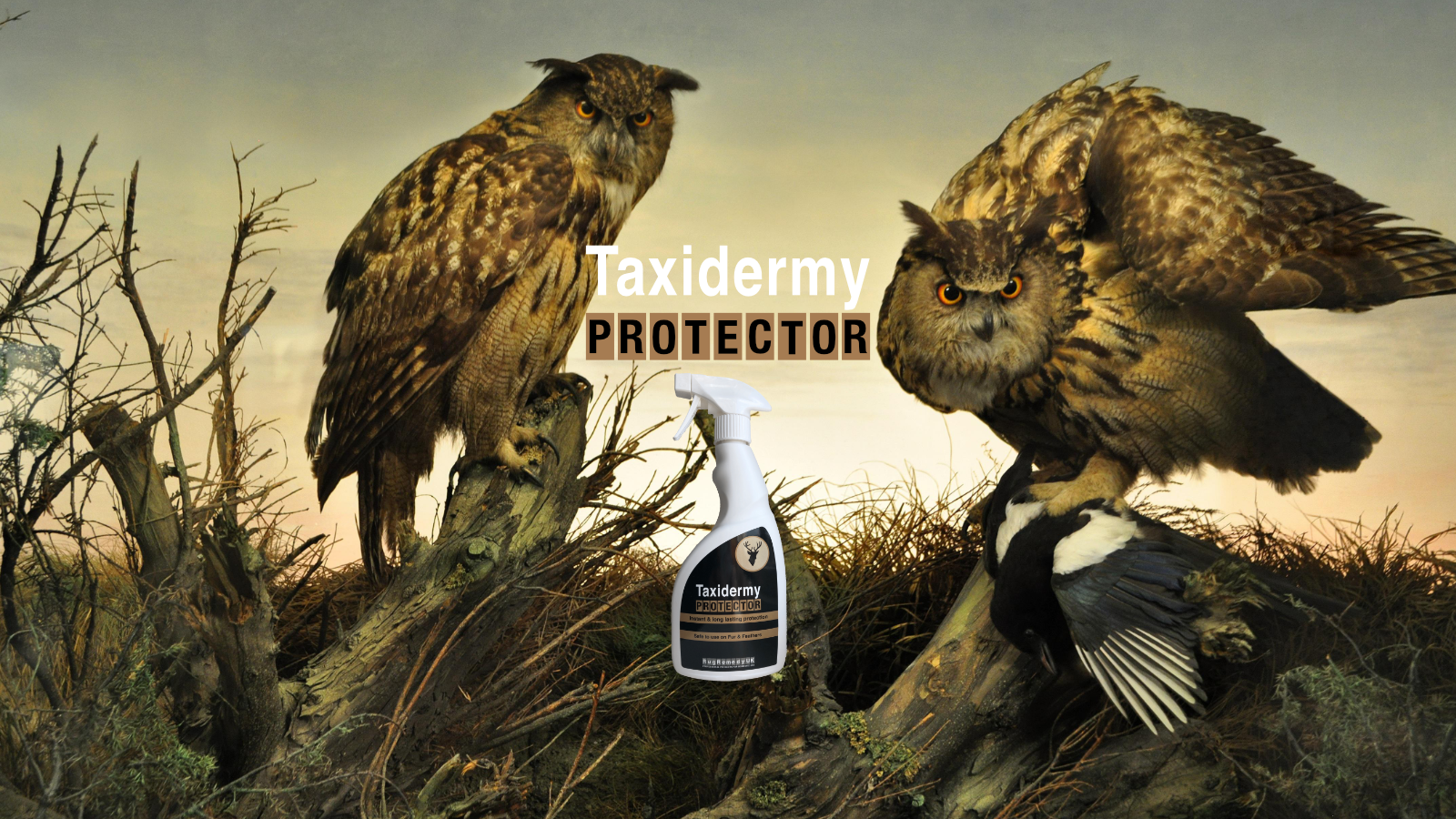 Picture of two taxidermy owls and the Taxidermy Protector bottle