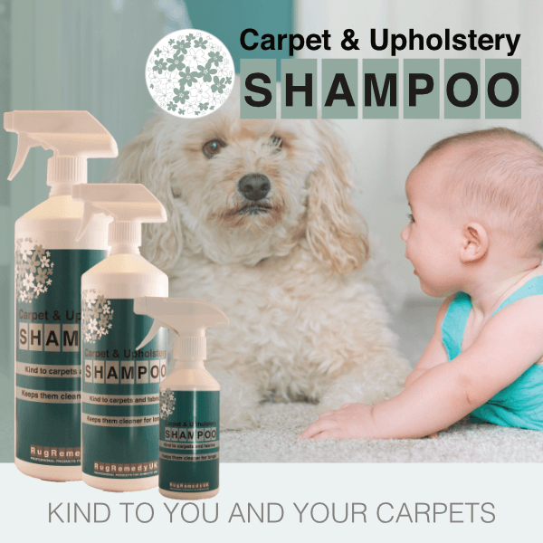 Carpet and Upholstery Shampoo