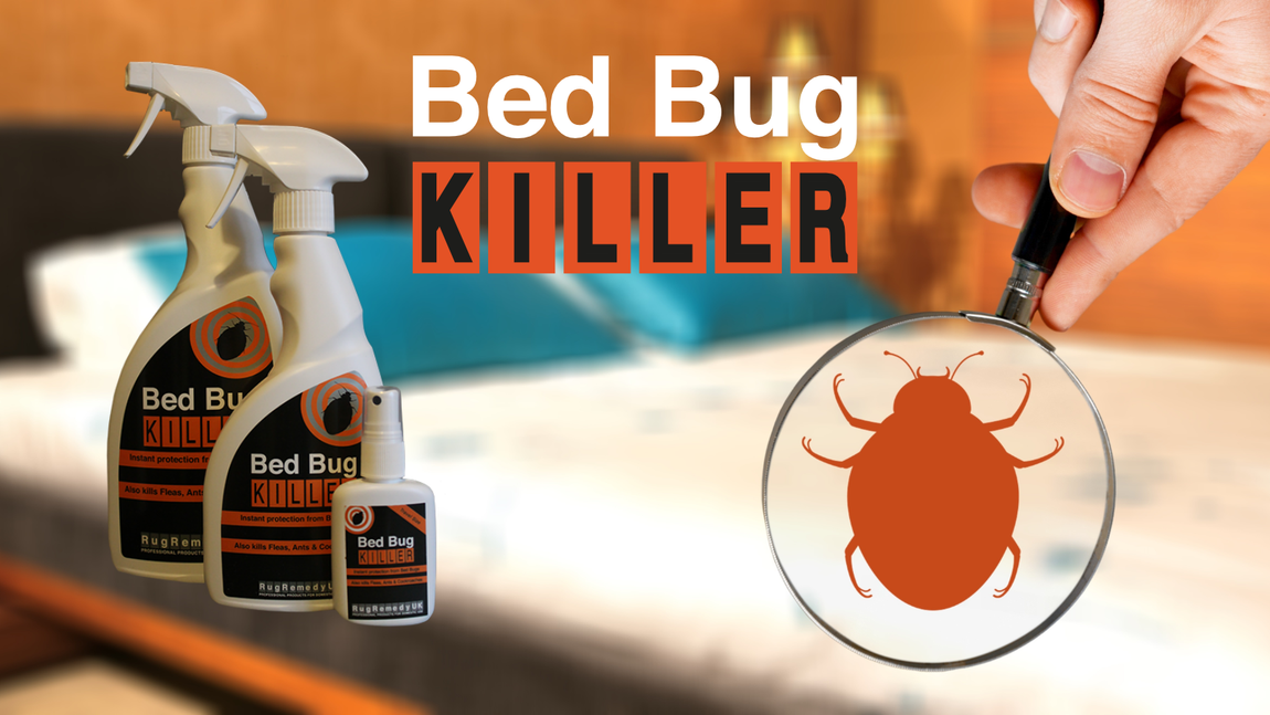Image of a bed with an illustration of a bed bug and bottles of Bed Bug Killer.