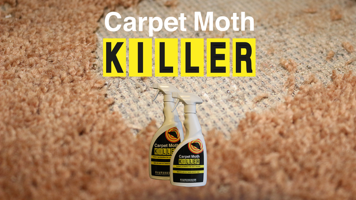 Moth damaged carpet with a bottle of Carpet Moth Killer.