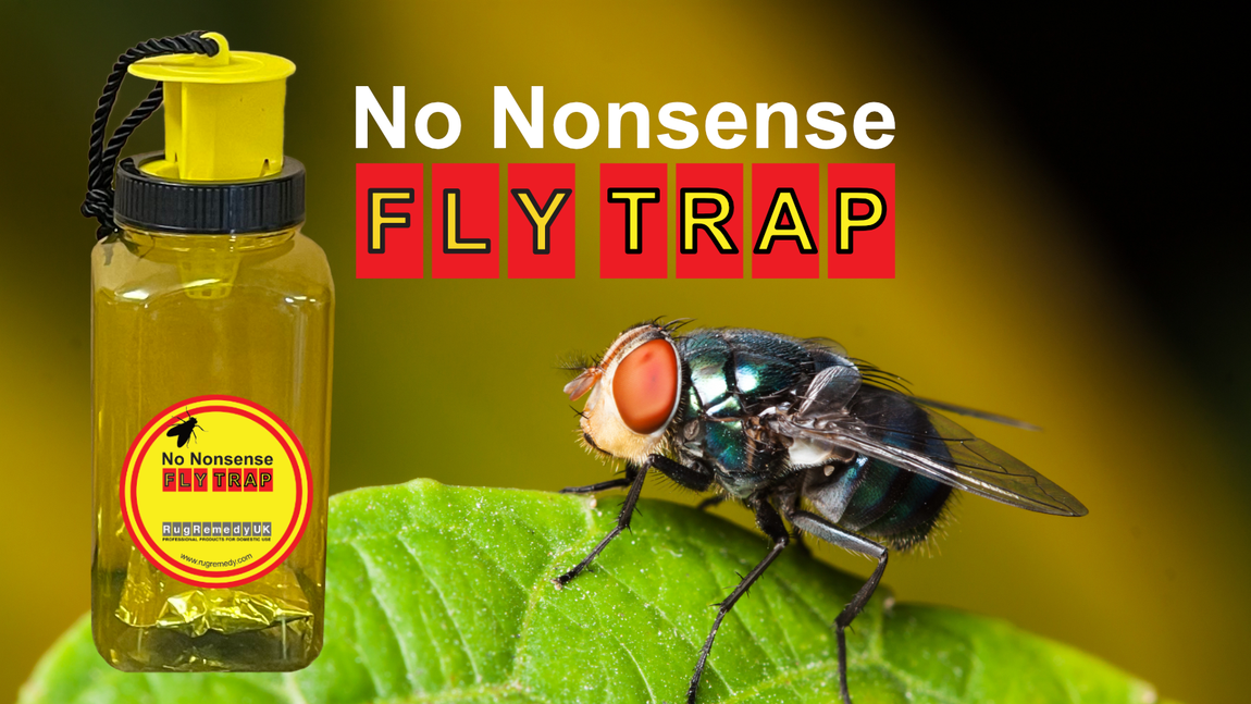 A fly on a leaf with a RugRemedy Fly Catcher.