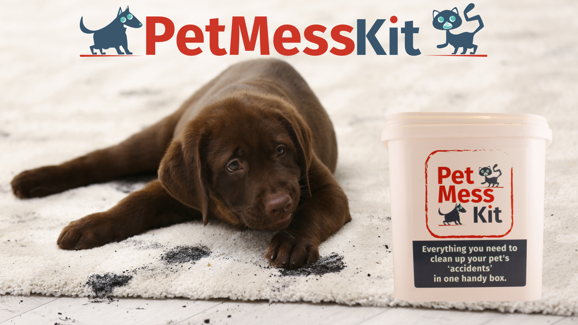 Image of a dogs and cat in a row with 
 a box of Pet Mess Kit.