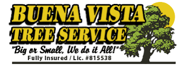 buena-vista-tree-logo