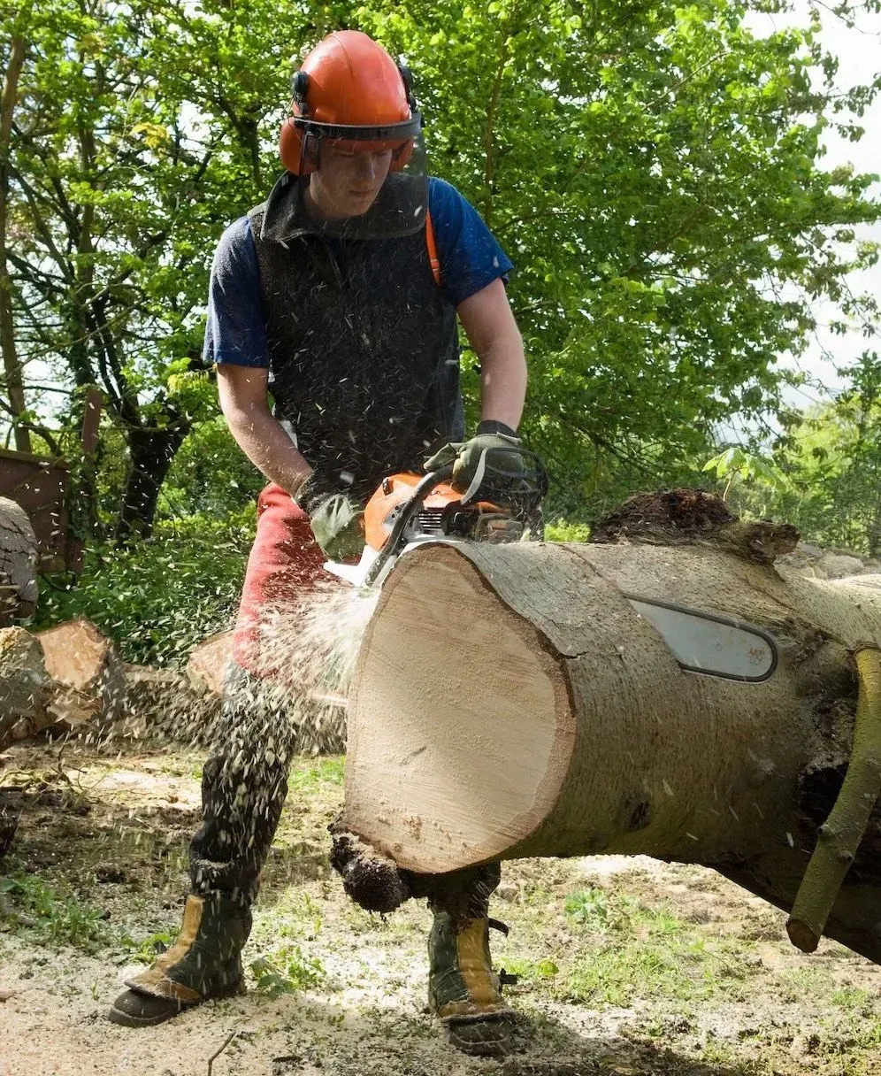 Man wearing safety gear using chainsaw to cut a log. Sparks and sawdust flying. Outdoors.