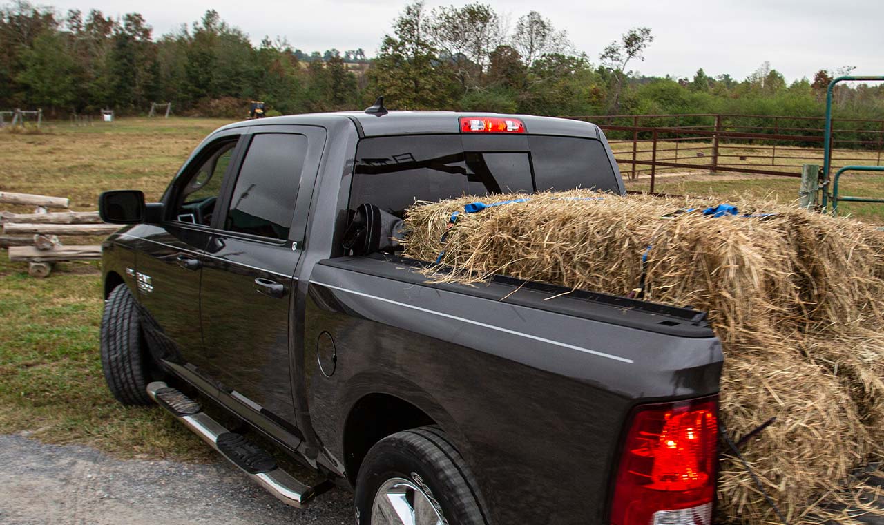 Dry Grass on the Pickup Truck — Clovis, CA — Line-X of Clovis