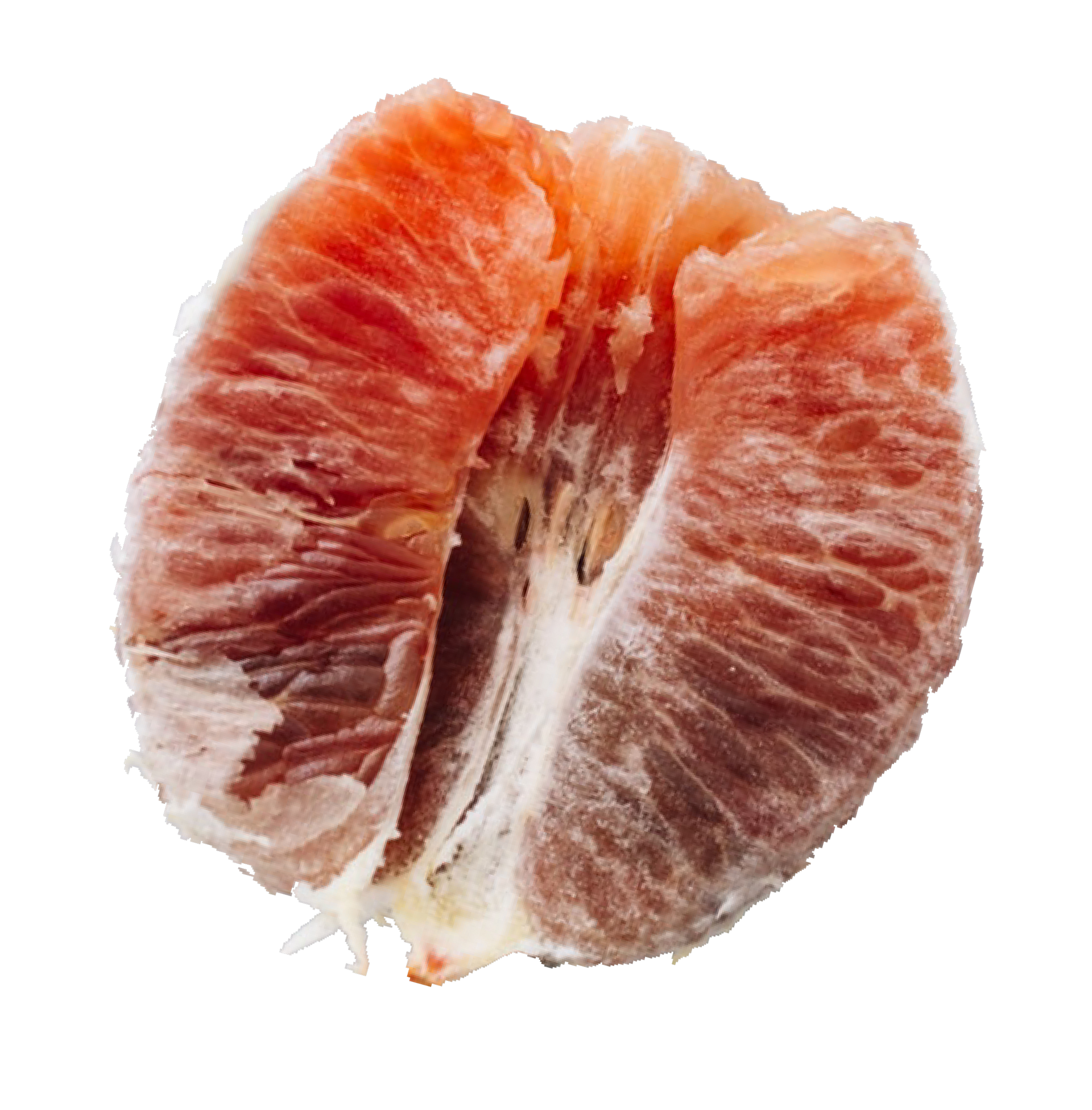 A close up of a grapefruit cut in half on a white background.