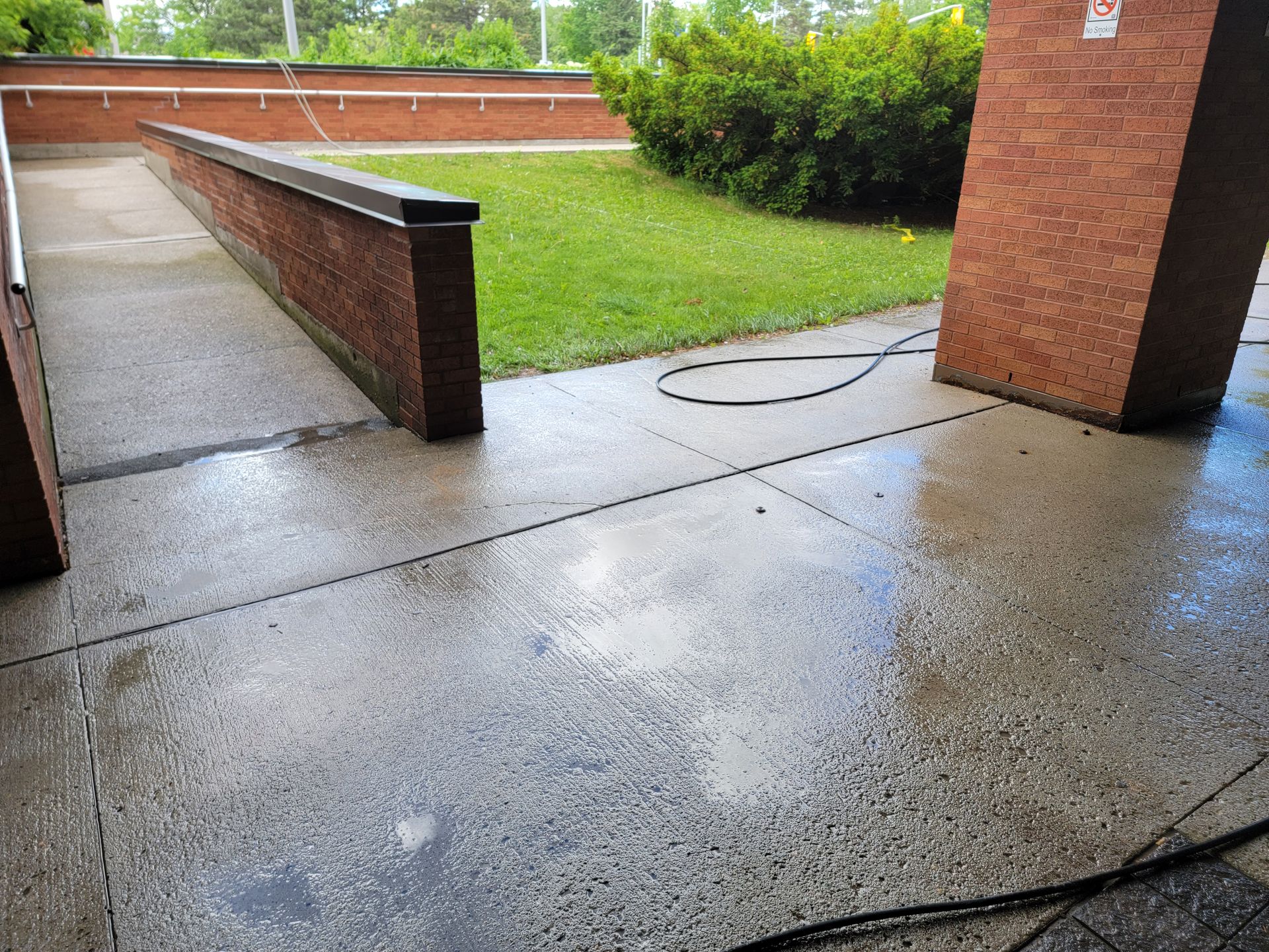Wet concrete walkway with brick walls, a grassy area, and a bush.