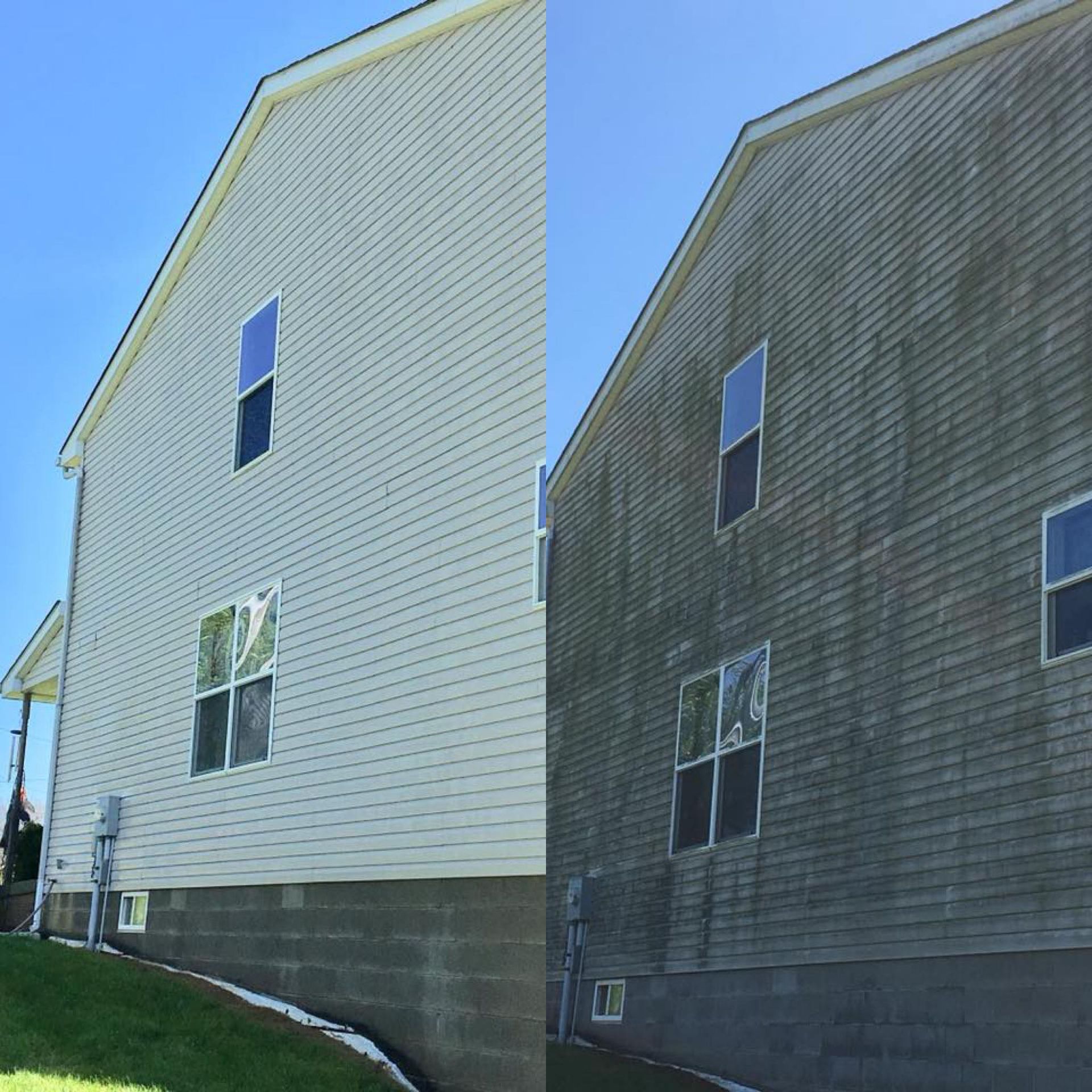 Side-by-side comparison of a house; left side clean, right side covered in green algae.