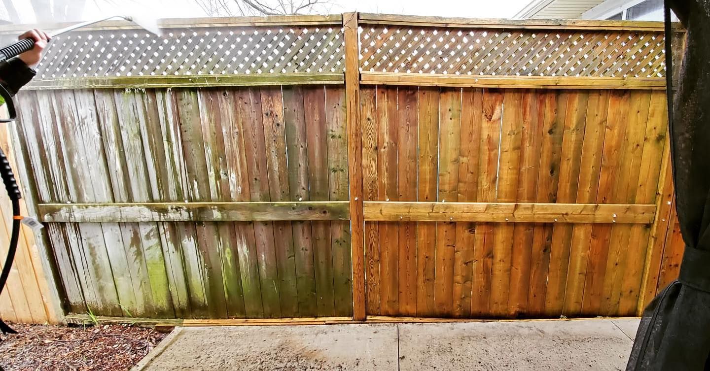 A fence is being pressure washed; left side is green with mold, right side is clean wood.