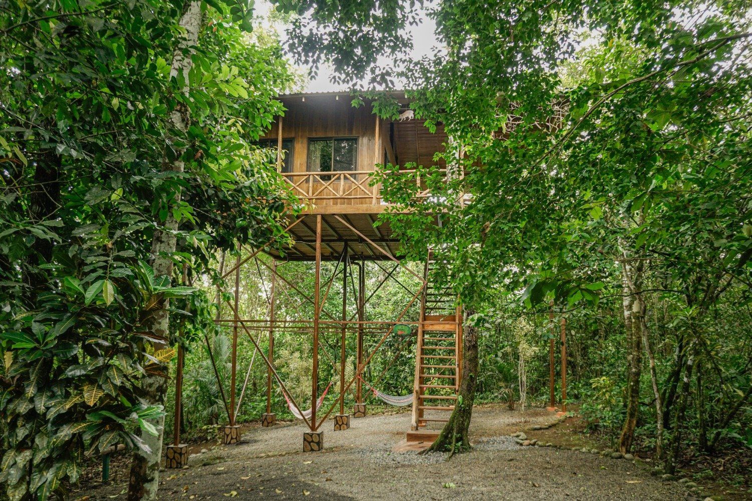 Tree Houses Hotel | Top Rated Hotel in Costa Rica