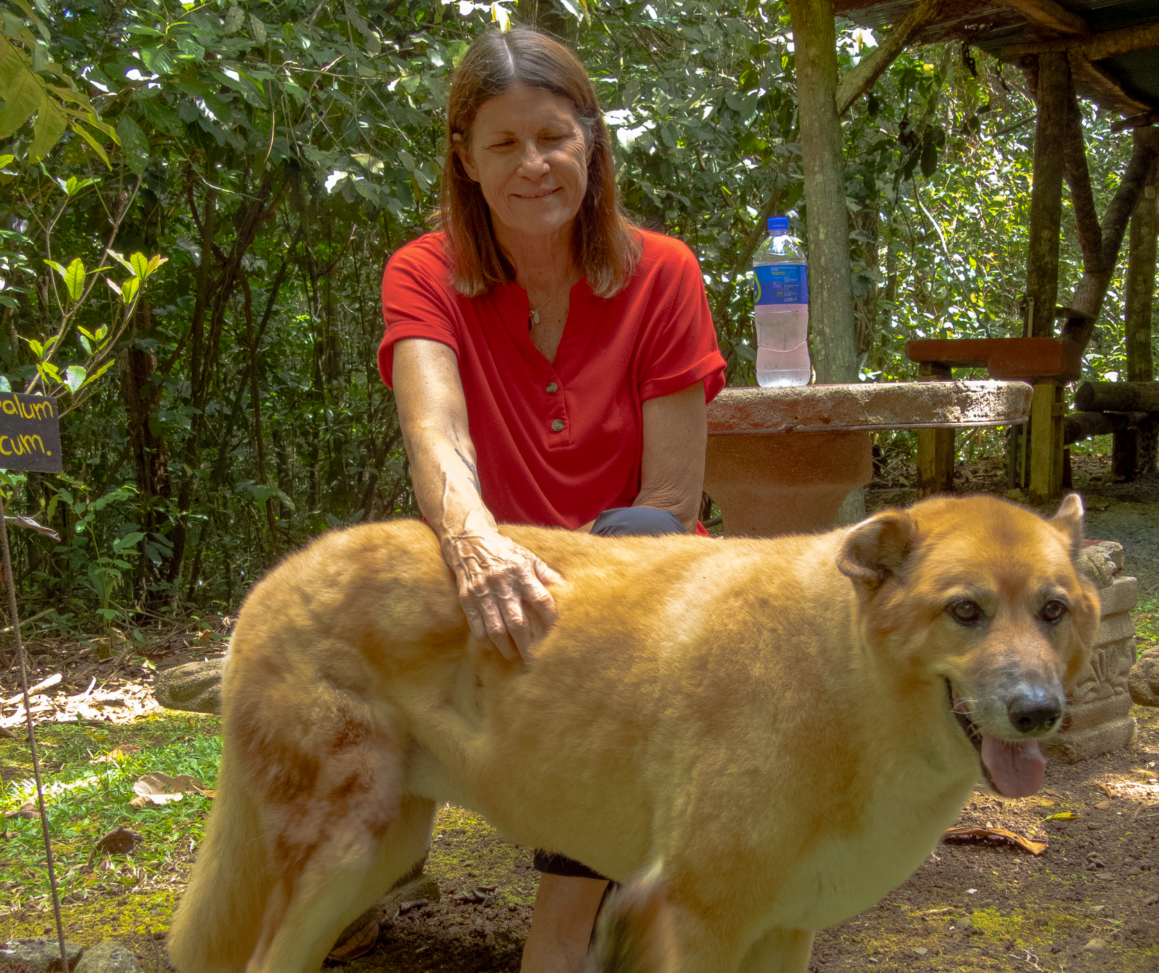 Woman in blue shirt sitting with a dog, both looking forward; outdoors with colorful mural.