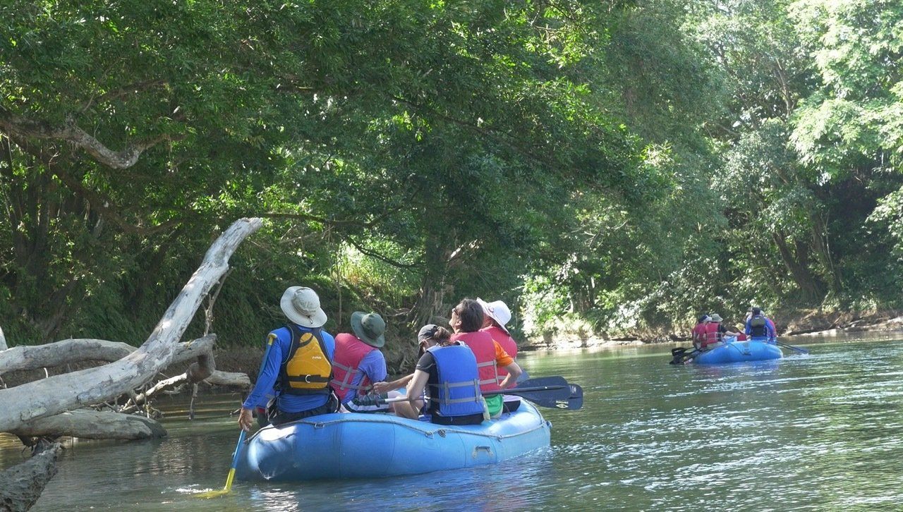 Tours | Tree Houses Hotel | Top Rated Hotel in Costa Rica