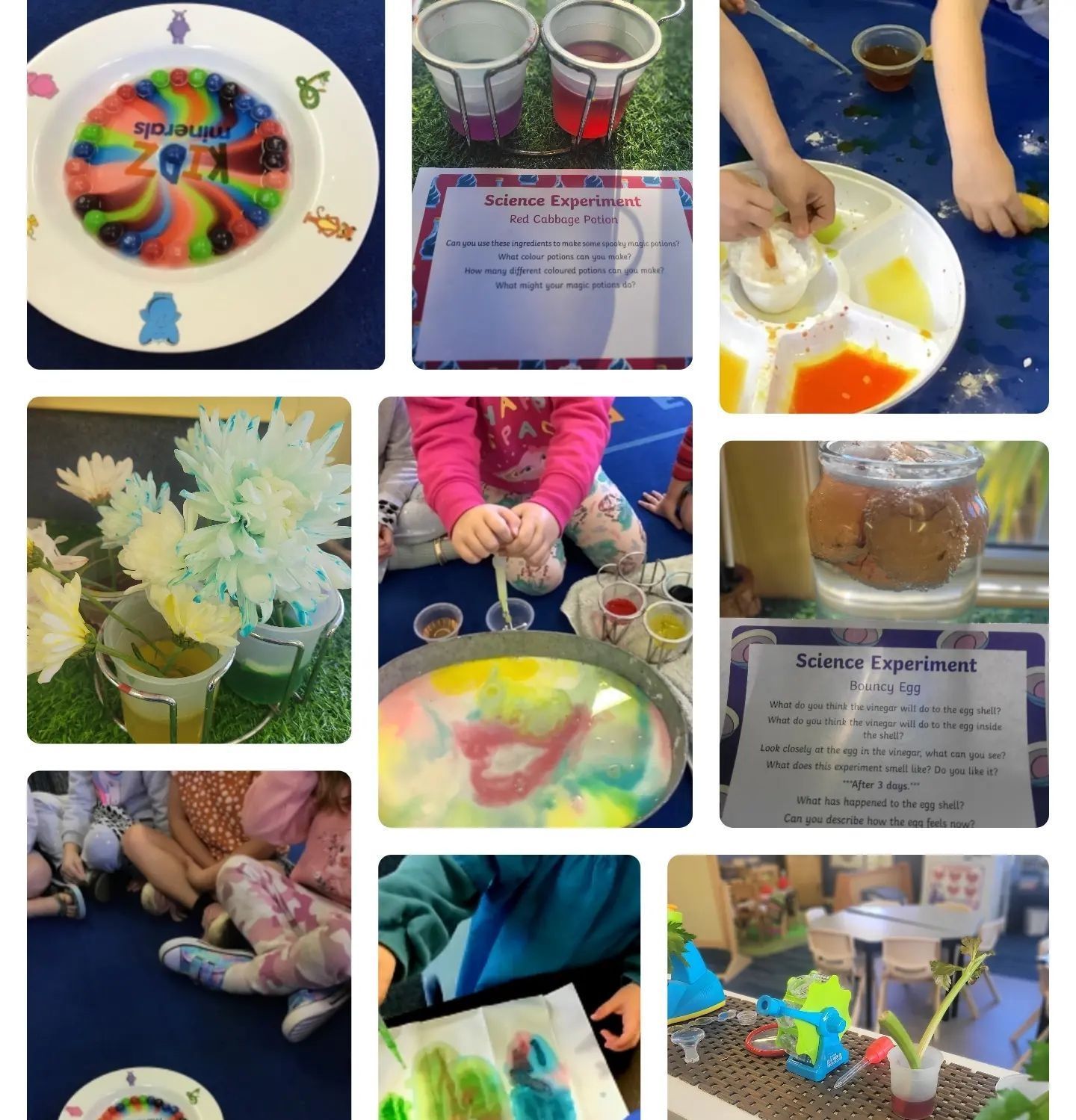 A collage of children playing with various objects including a certificate